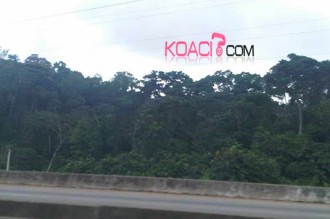 Côte dÂ’Ivoire : Un homme pris pour un gibier foudroyé par un coup de fusil 